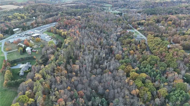a view of a dry yard