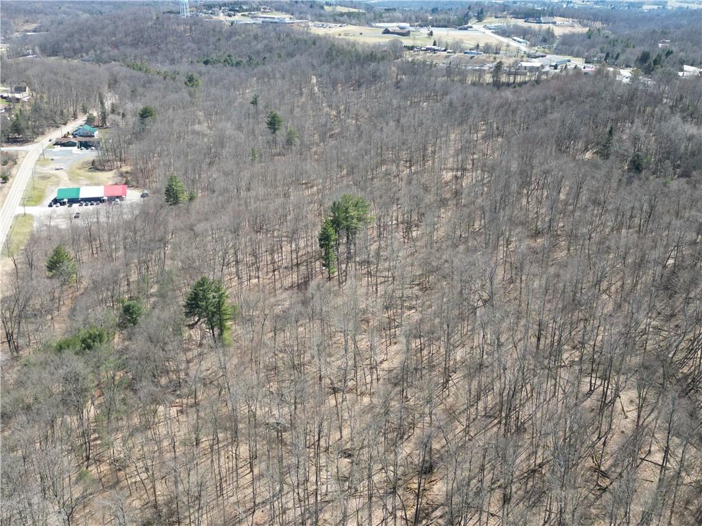 2685 Walston Road Punxsutawney, PA 15767 - Photo 14 of 28 a close up of a plant