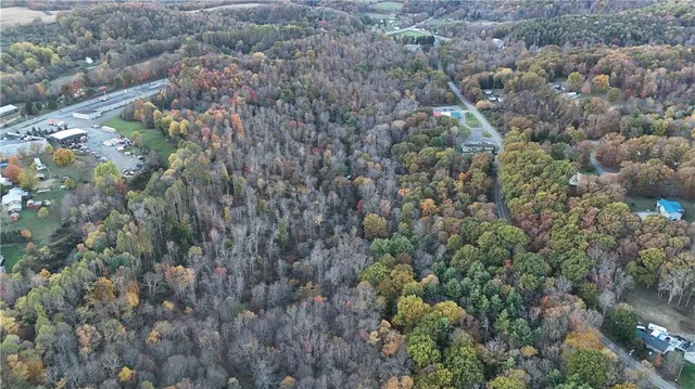 a view of a dry yard