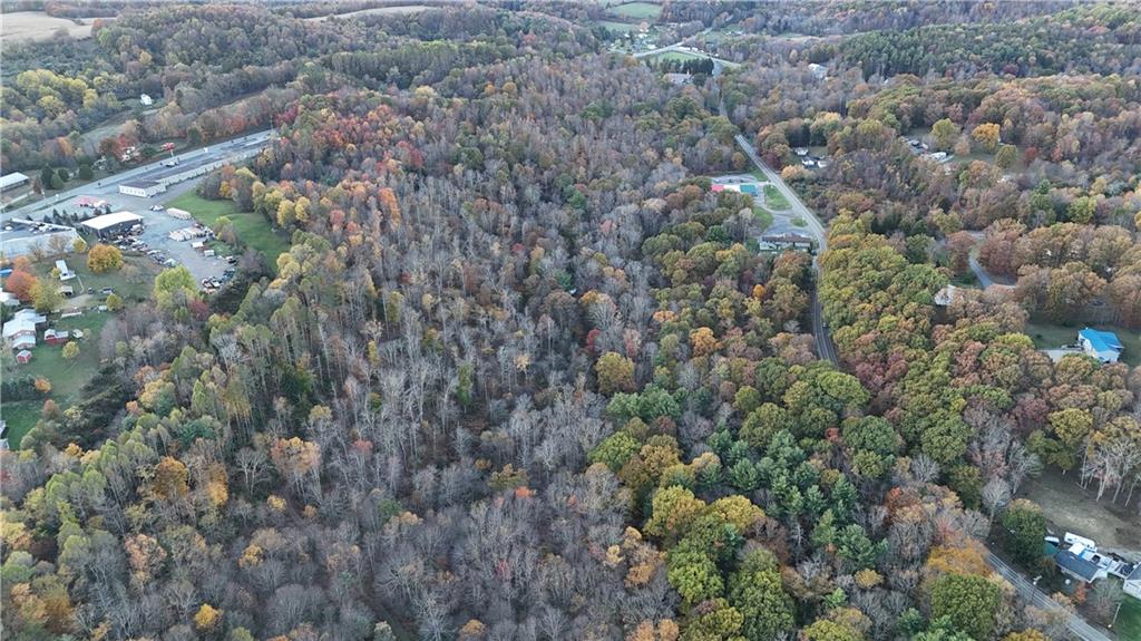 2685 Walston Road Punxsutawney, PA 15767 - Photo 15 of 28 a view of a forest with a tree