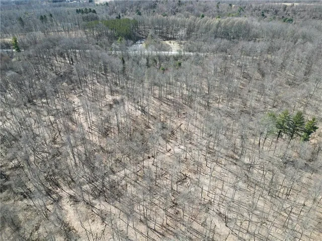 a view of a yard with large trees