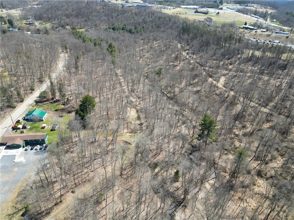 2685 Walston Road Punxsutawney, PA 15767 - Photo 21 of 28 a view of a yard with large trees