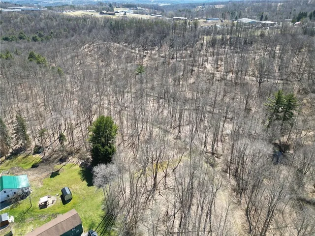 a view of a dry yard
