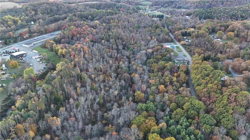 2685 Walston Road Punxsutawney, PA 15767 - Photo 3 of 28 a view of a forest