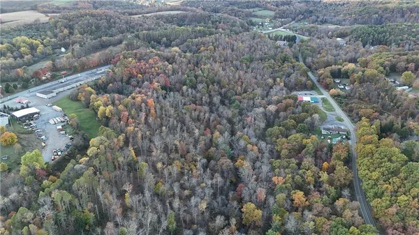 a view of a forest