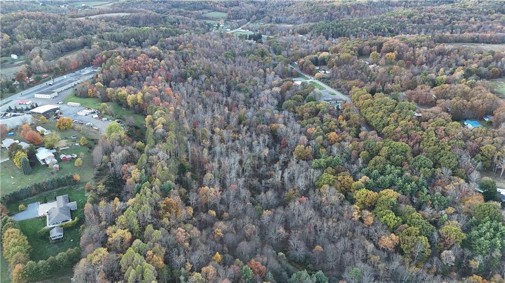 2685 Walston Road Punxsutawney, PA 15767 - Photo 7 of 28 a view of a forest