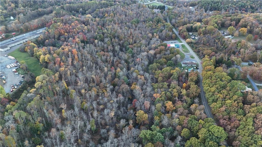 2685 Walston Road Punxsutawney, PA 15767 - Photo 8 of 28 a view of a forest with a tree