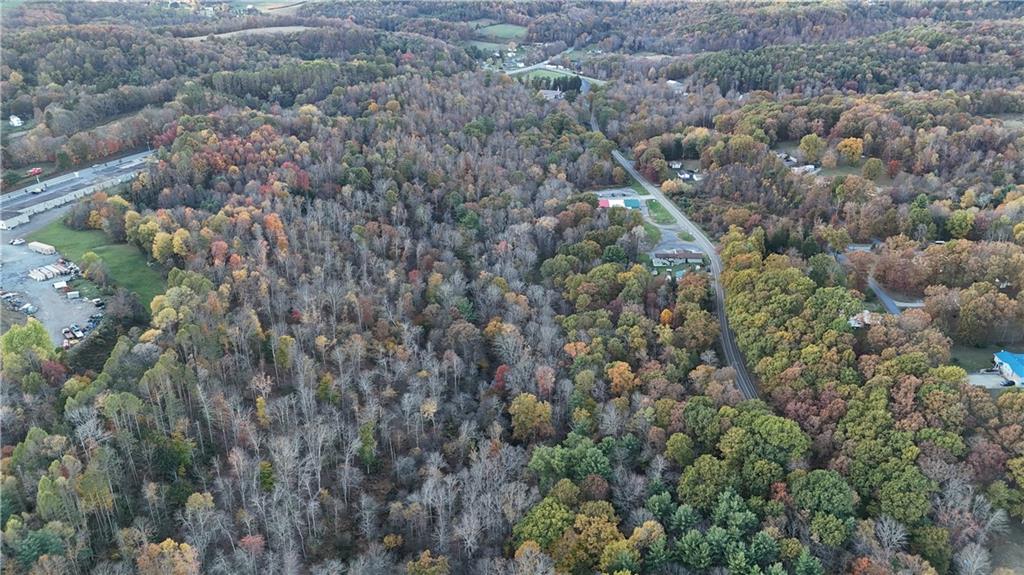 2685 Walston Road Punxsutawney, PA 15767 - Photo 9 of 28 a view of a forest with a tree