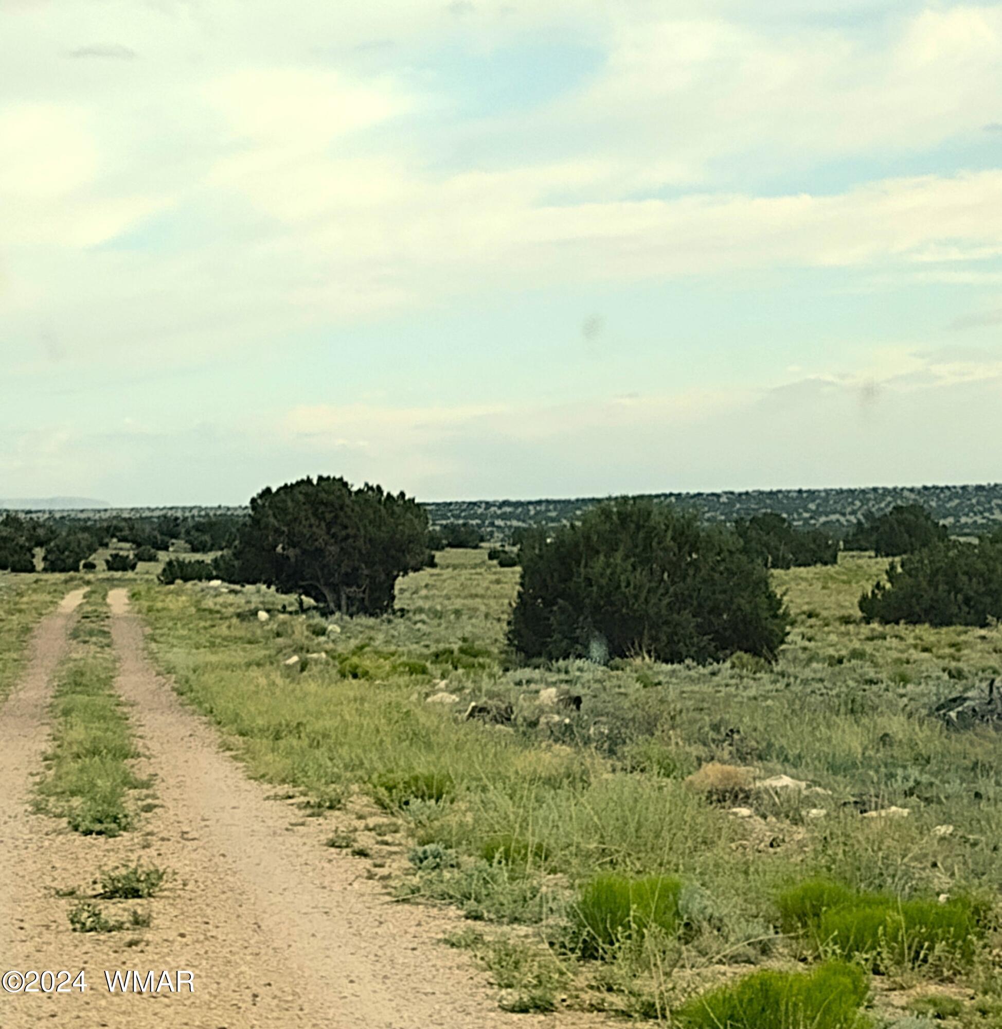 Lot 20 Elk Valley Ranch, Unit 1 St. Johns, AZ 85936 - Photo 1 of 12