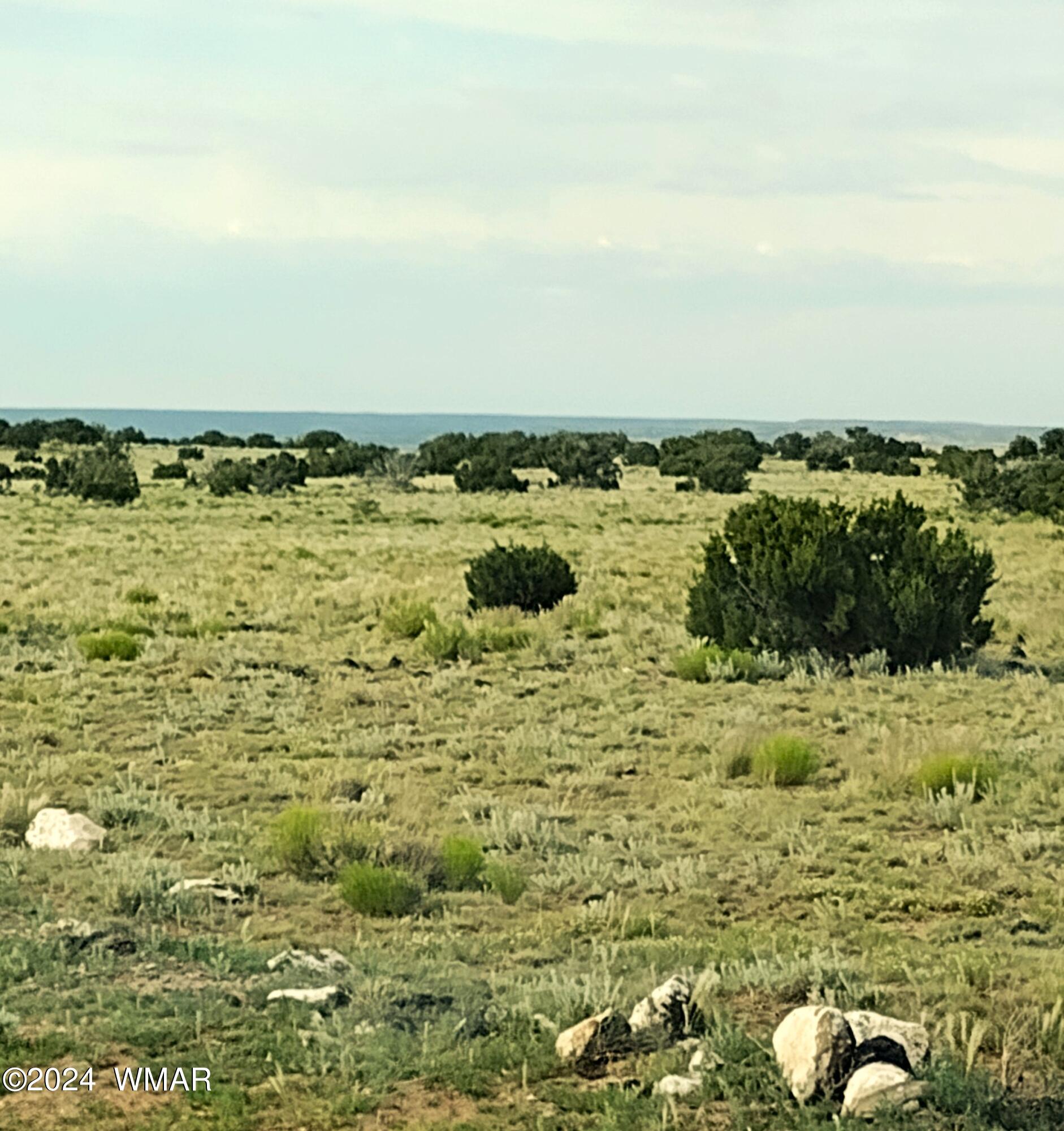 Lot 20 Elk Valley Ranch, Unit 1 St. Johns, AZ 85936 - Photo 2 of 12