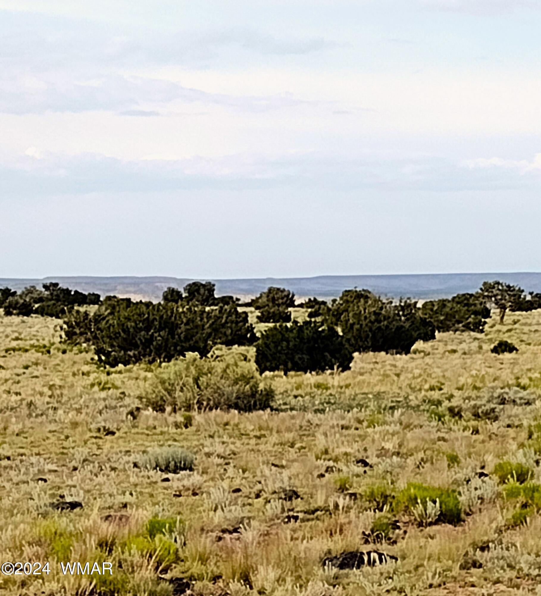 Lot 20 Elk Valley Ranch, Unit 1 St. Johns, AZ 85936 - Photo 3 of 12