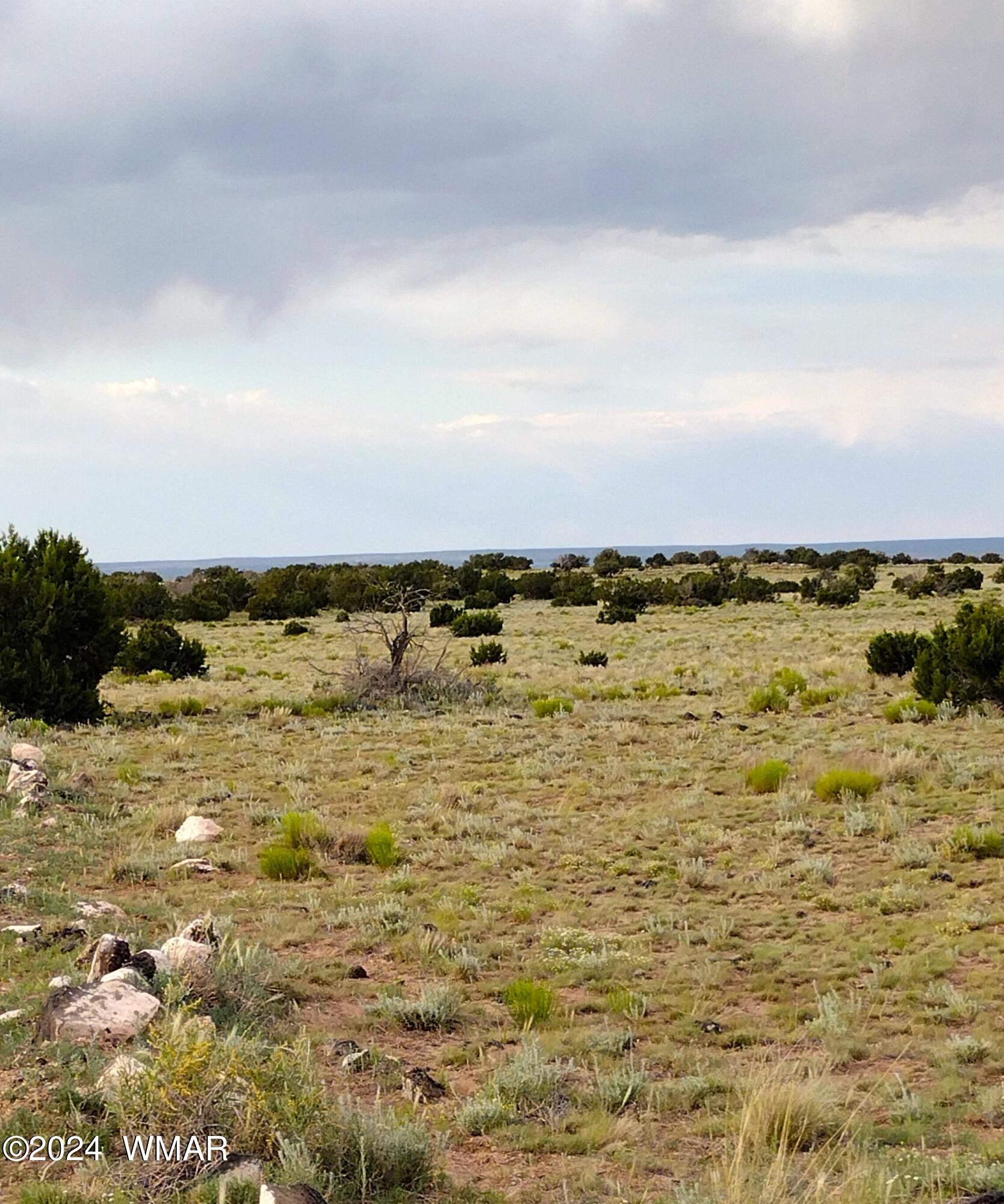 Lot 20 Elk Valley Ranch, Unit 1 St. Johns, AZ 85936 - Photo 5 of 12