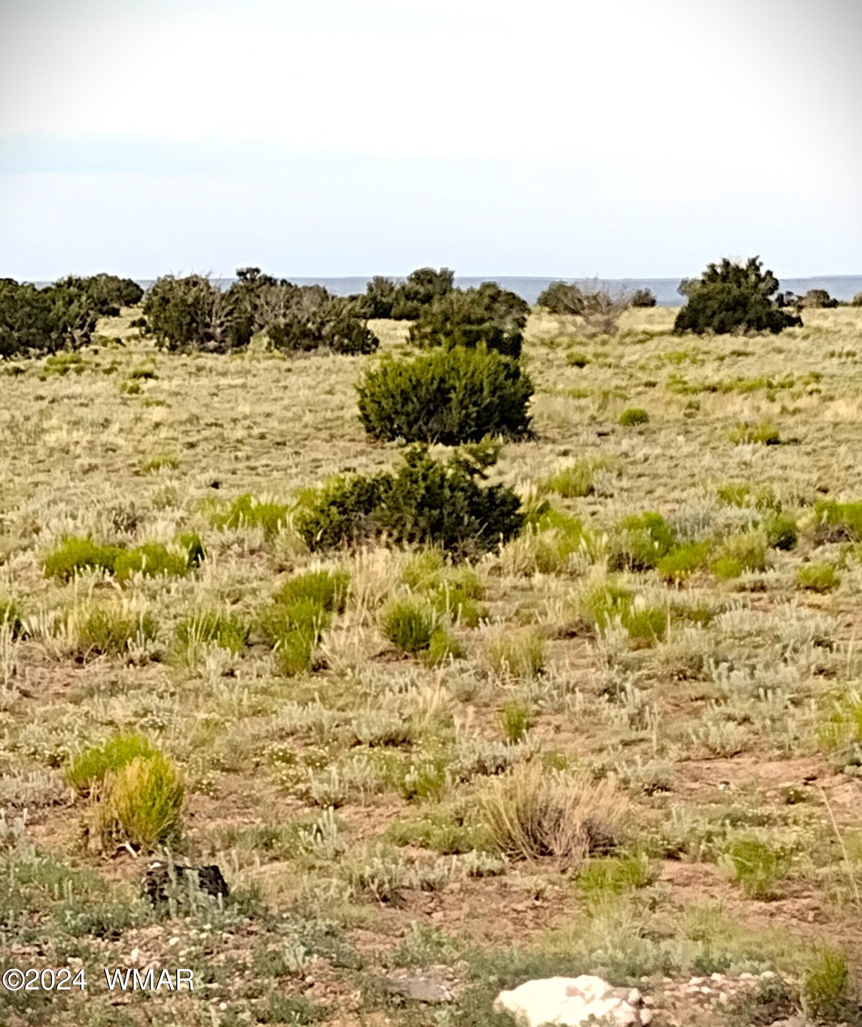 Lot 20 Elk Valley Ranch, Unit 1 St. Johns, AZ 85936 - Photo 6 of 12