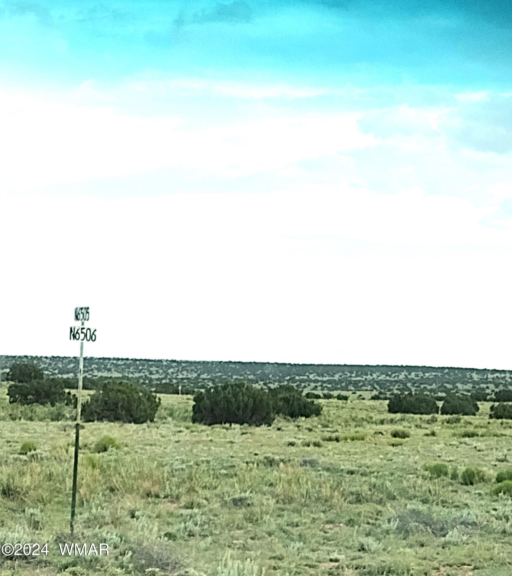 Lot 20 Elk Valley Ranch, Unit 1 St. Johns, AZ 85936 - Photo 7 of 12