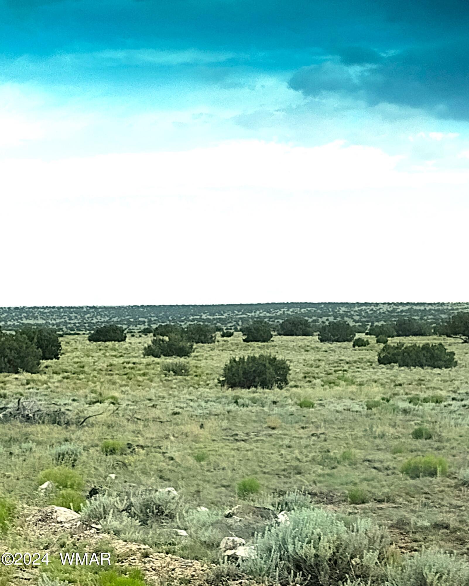 Lot 20 Elk Valley Ranch, Unit 1 St. Johns, AZ 85936 - Photo 8 of 12