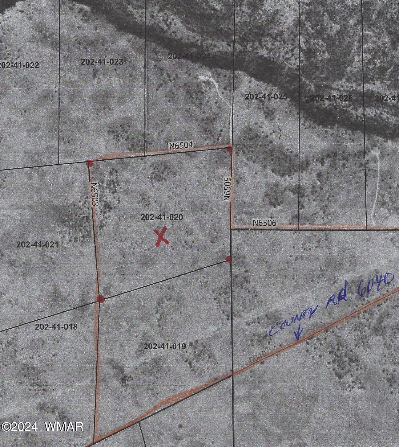 Lot 20 Elk Valley Ranch, Unit 1 St. Johns, AZ 85936 - Photo 10 of 12