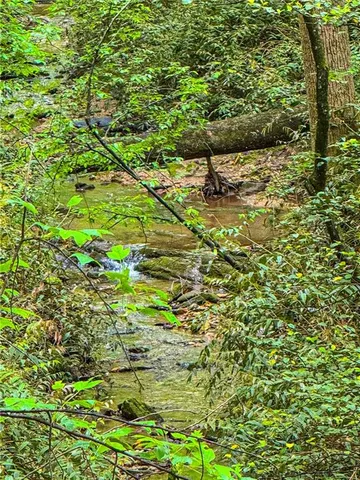 a backyard of a building with lots of trees