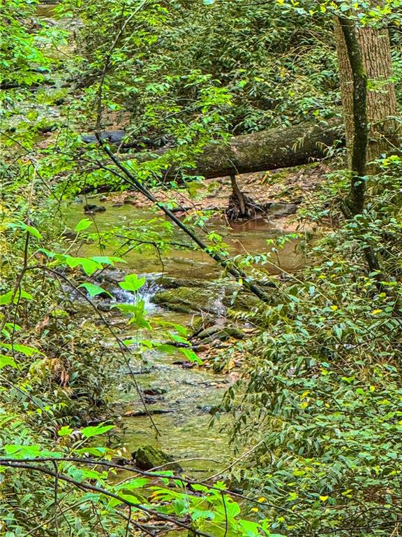 0 Cavender Creek Road Dahlonega, GA 30533 - Photo 1 of 1 a backyard of a building with lots of trees