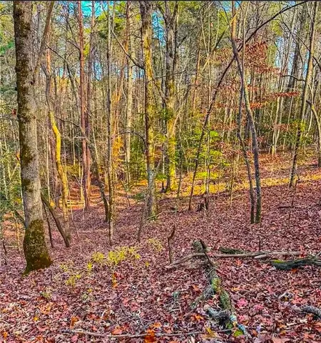 a backyard of a house with lots of green space and chair