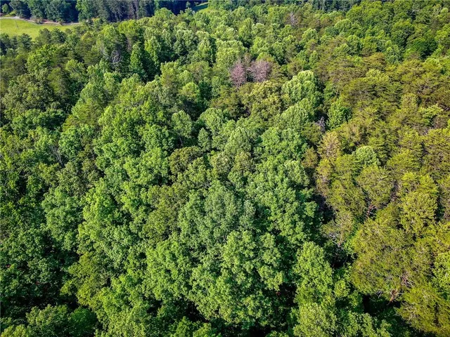 a view of a green field