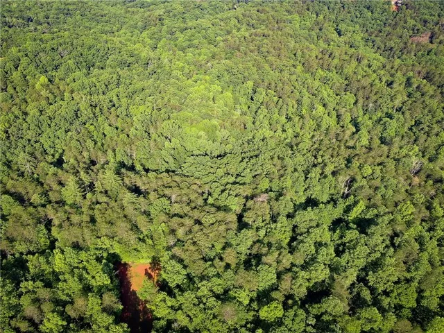 a view of a lush green field