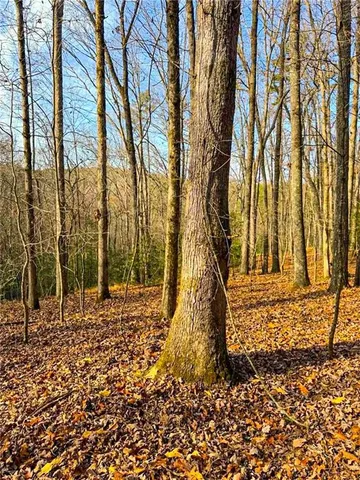 a view of a backyard of the house