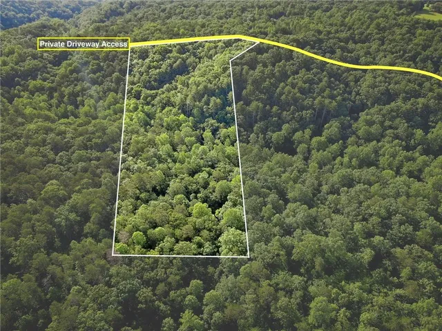 a view of a small yard