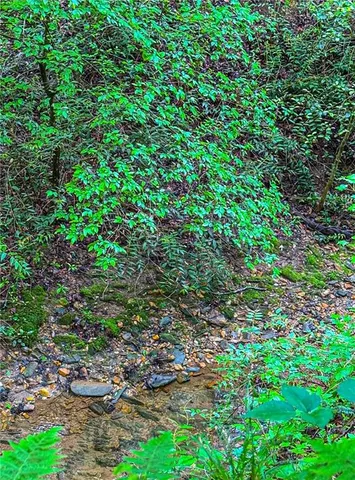 a backyard of a house with lots of plant