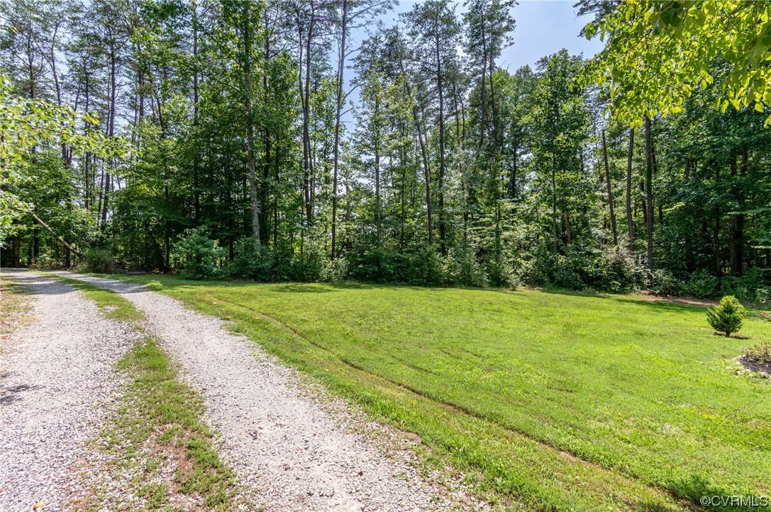 3928 Whitehall Road Sandy Hook, VA 23153 - Photo 33 of 33 a view of a yard with a large trees
