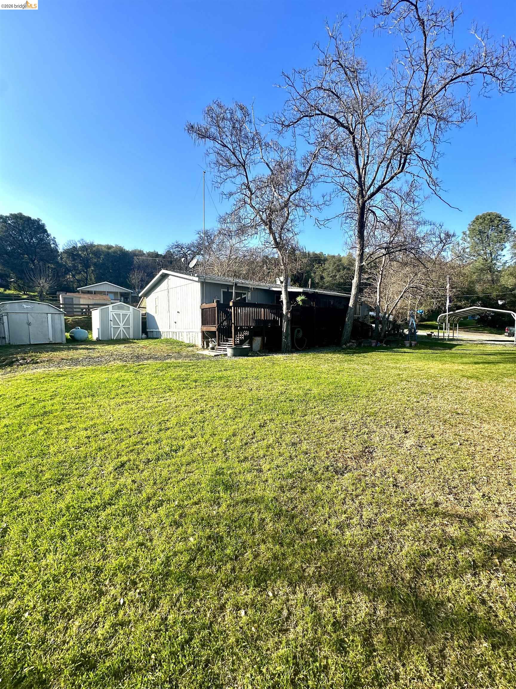 11761 Essen Lane Sonora, CA 95370 - Photo 4 of 20 a swimming pool with trees in front of it