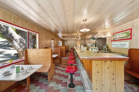 a view of a forest with a lake