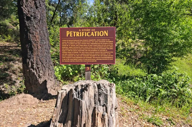 $9,998,000 | 4100 Petrified Forest Road, Calistoga, CA 94515