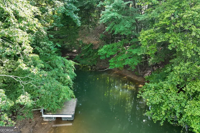 an aerial view of green landscape with trees houses and lake view