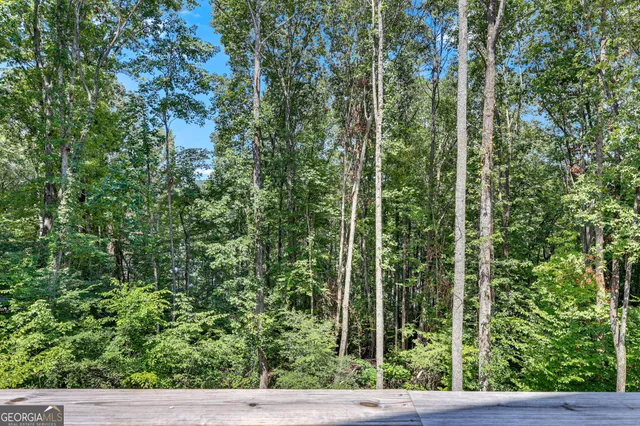 an aerial view of a house with a yard and plants