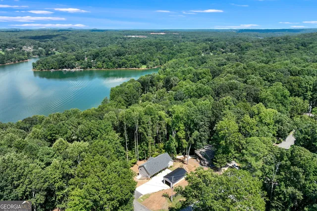 a view of a tree in a yard