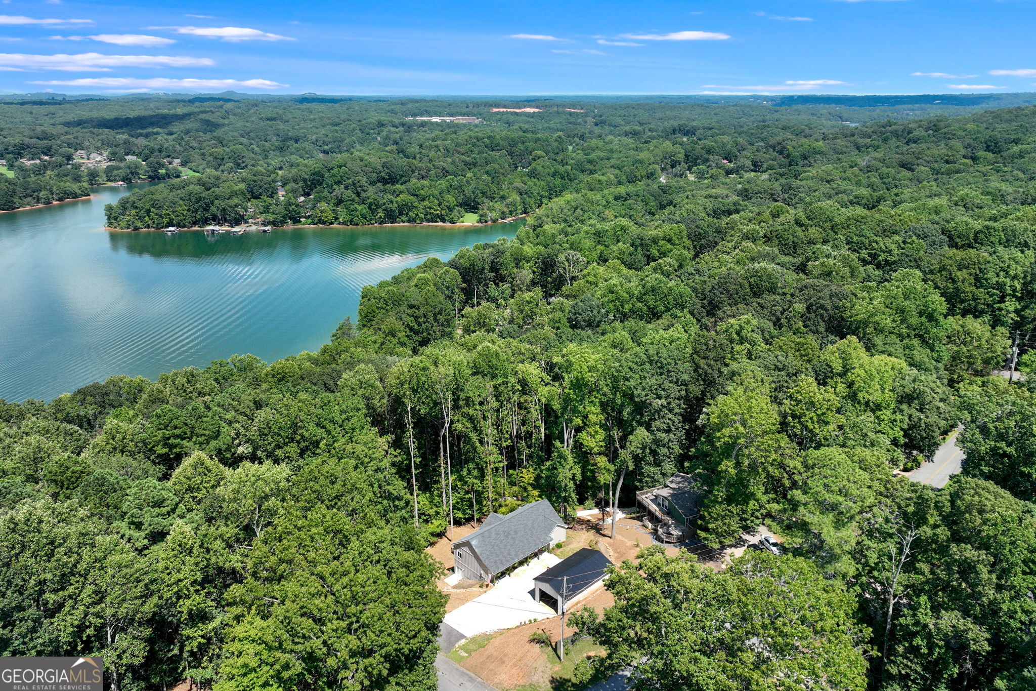 3114 Lake Ranch Drive Gainesville, GA 30506 - Photo 44 of 58 an aerial view of green landscape with trees houses and lake view