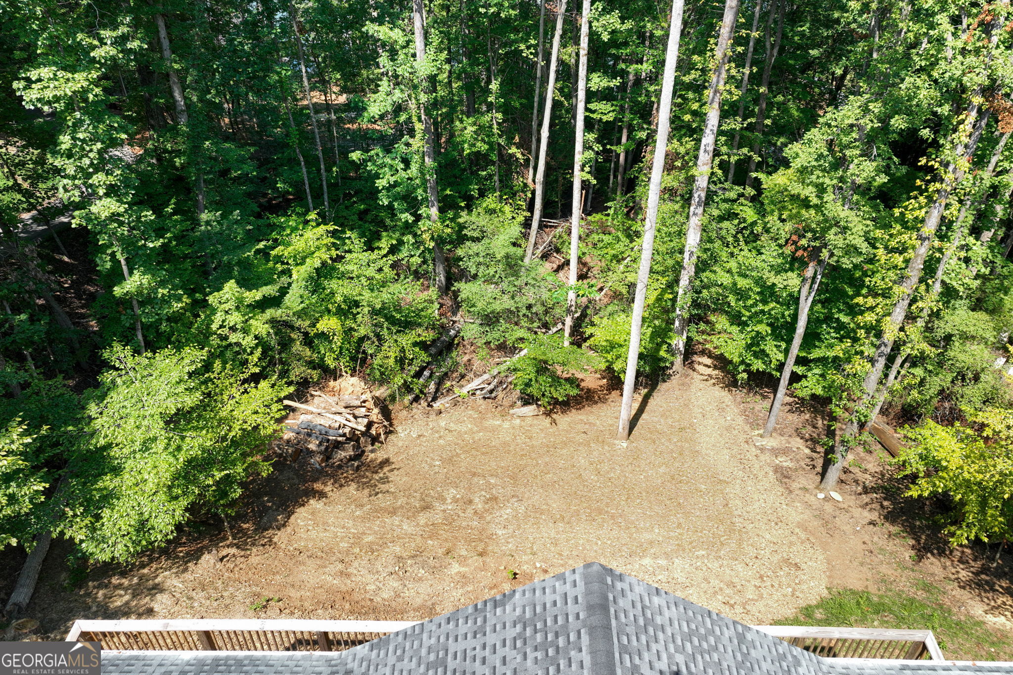 3114 Lake Ranch Drive Gainesville, GA 30506 - Photo 46 of 58 a view of a yard with plants