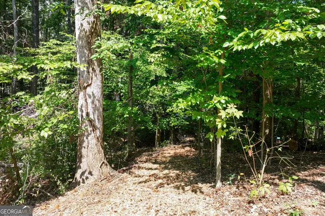 a view of a garden with an outdoor space