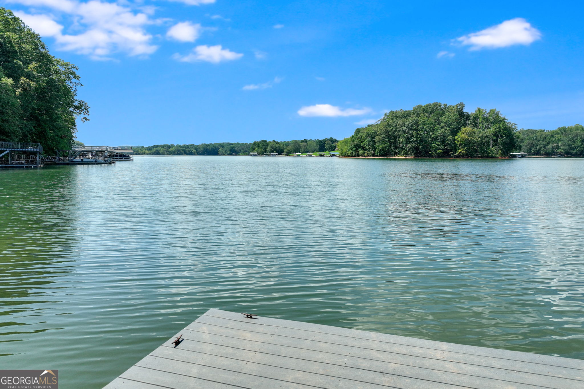 3114 Lake Ranch Drive Gainesville, GA 30506 - Photo 55 of 58