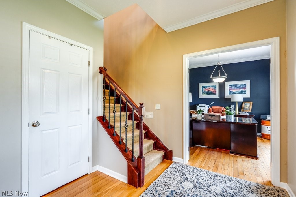 6325 Brecksville Road Independence, OH 44131 - Photo 6 of 50 Foyer featuring hardwood floors, a carpeted staircase with ornate iron balusters, and crown molding