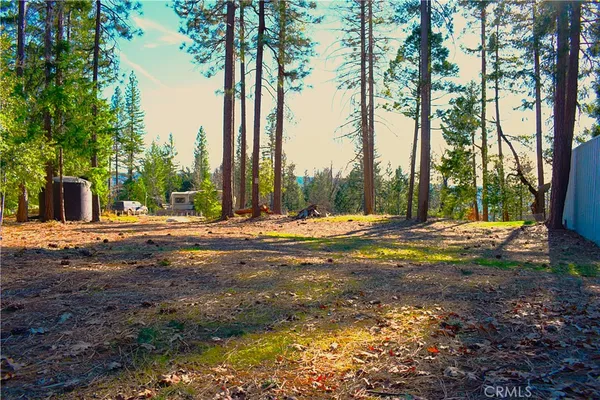 a view of backyard space and trees