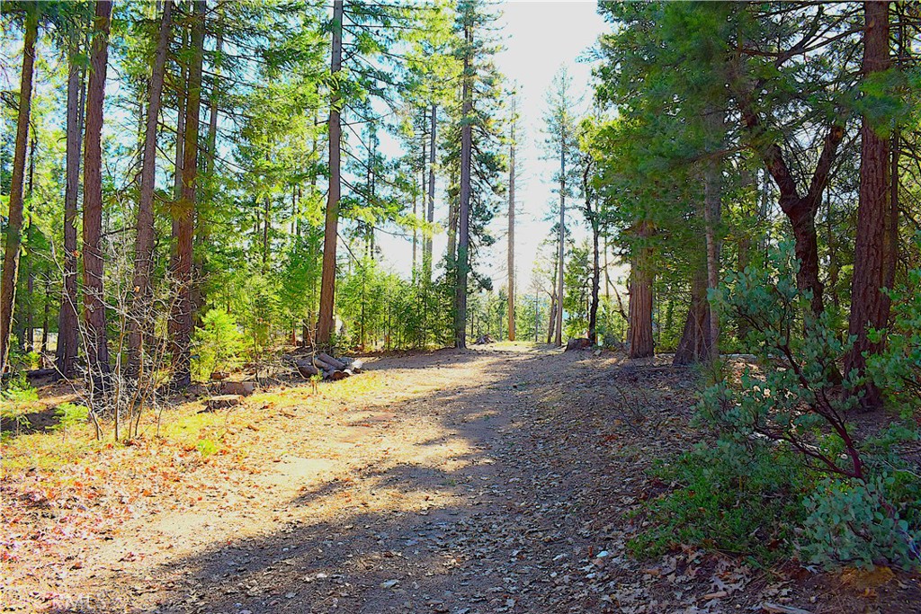 18286 Gaston Road Nevada City, CA 95959 - Photo 15 of 59