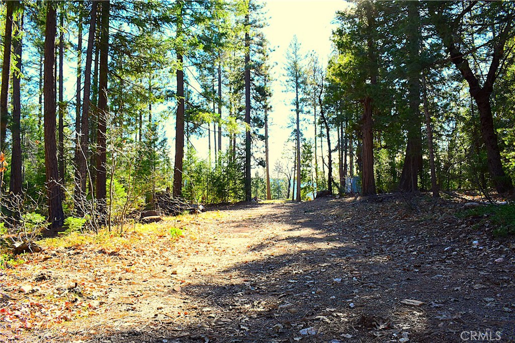 18286 Gaston Road Nevada City, CA 95959 - Photo 16 of 59