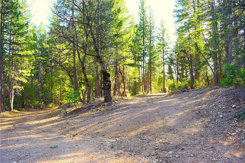 18286 Gaston Road Nevada City, CA 95959 - Photo 17 of 59