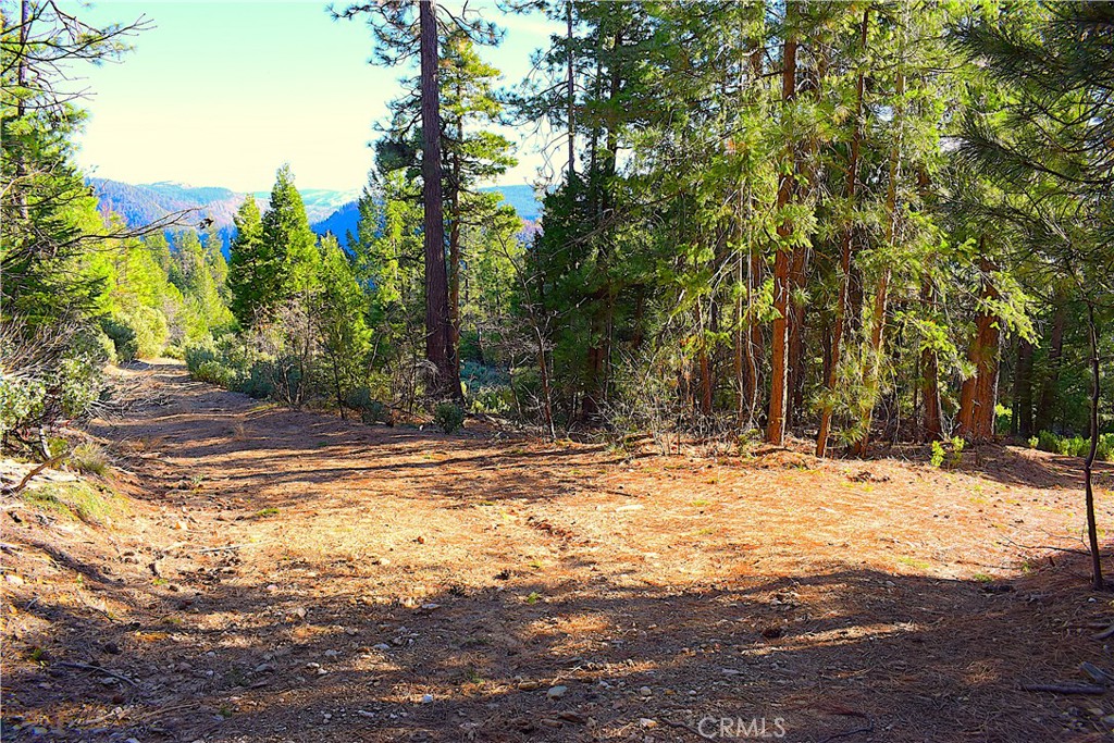 18286 Gaston Road Nevada City, CA 95959 - Photo 20 of 59