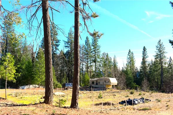 a view of a backyard of the house