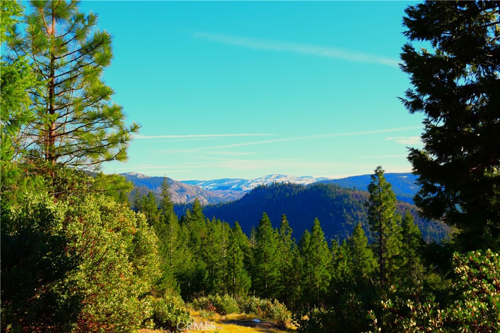 18286 Gaston Road Nevada City, CA 95959 - Photo 21 of 59