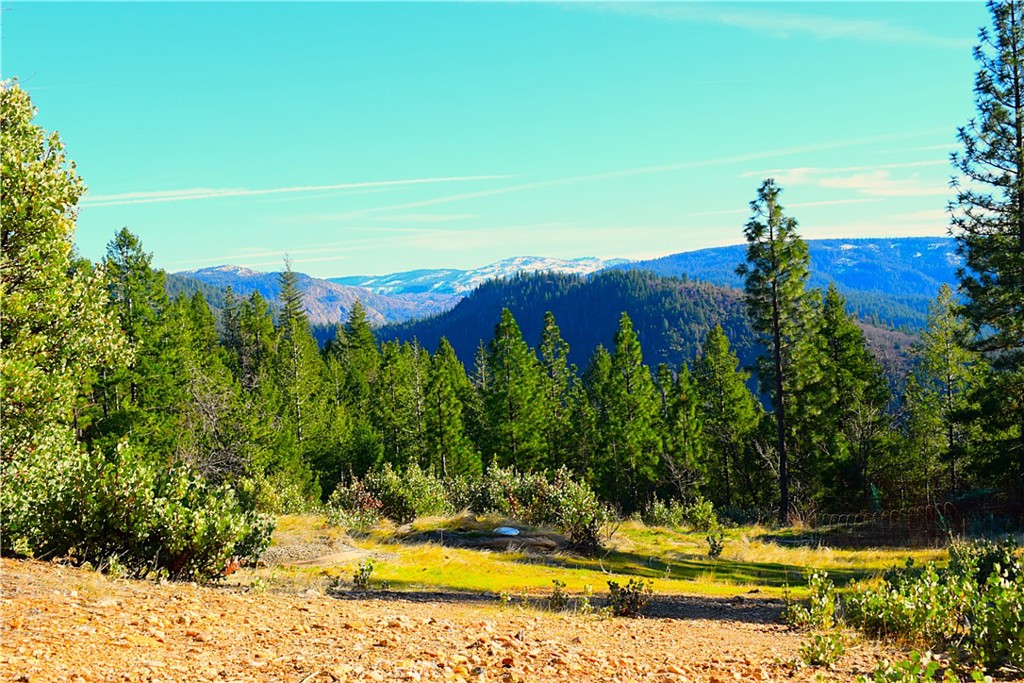 18286 Gaston Road Nevada City, CA 95959 - Photo 22 of 59