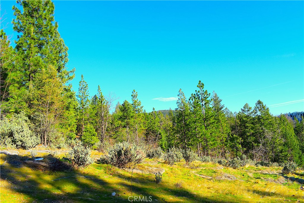 18286 Gaston Road Nevada City, CA 95959 - Photo 23 of 59