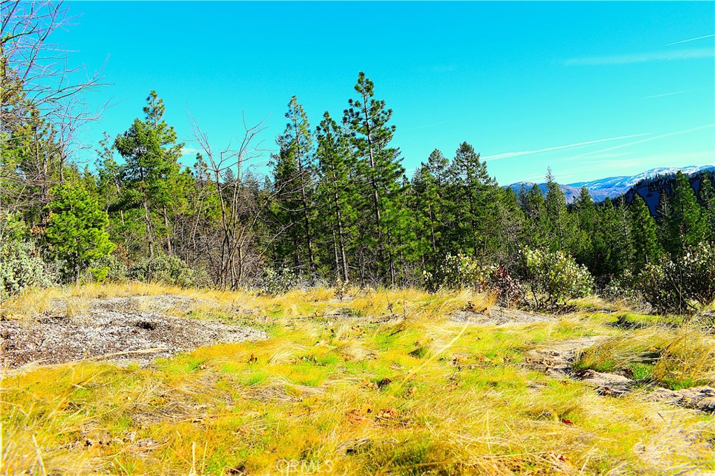 18286 Gaston Road Nevada City, CA 95959 - Photo 24 of 59